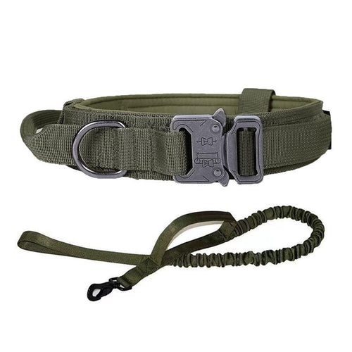 Adjustable Military Dog Collar in olive green nylon with a dark quick-release buckle, metal D-ring, and matching elastic leash