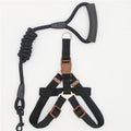 Pet Supplies Simple Dog Leash set with black nylon coiled lead and matching harness, featuring brown trim and padded handle