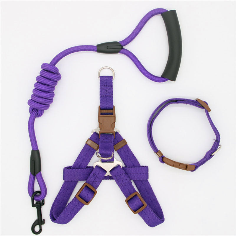 Pet Supplies Simple Dog Leash set in purple nylon, featuring a coiled lead, black handle and matching adjustable harness