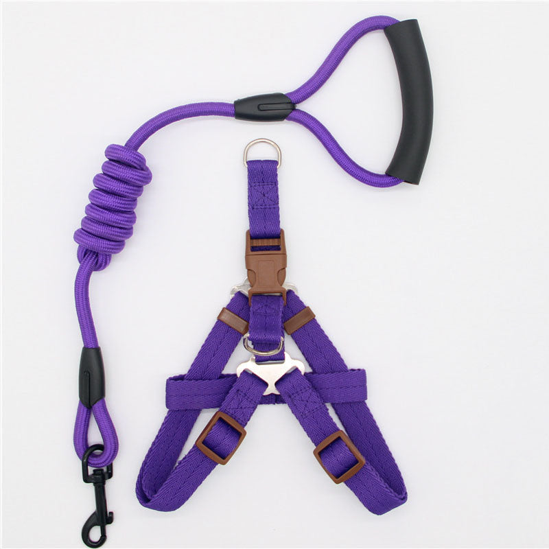 Pet Supplies Simple Dog Leash in purple nylon with a padded black handle, coiled section, metal clip and matching harness