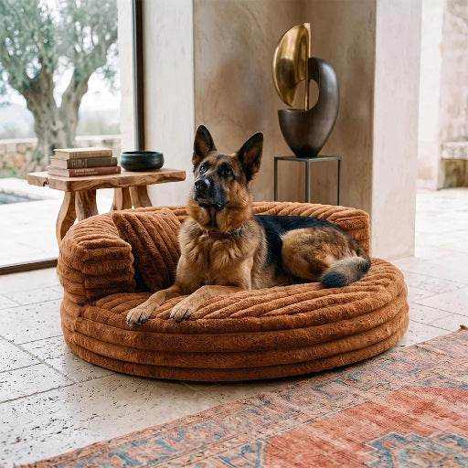 Removable And Washable Cat Bed