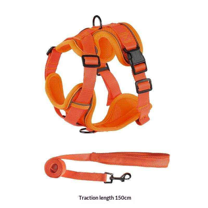 Vest-style Dog Leash set in bright orange polyester, with an adjustable padded vest harness, black buckles and matching lead